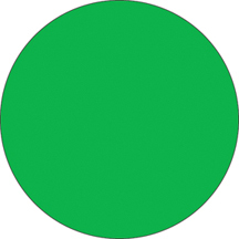Fluorescent Label Blank 2in Green 250 per roll