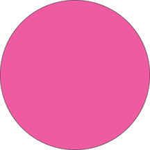 Fluorescent Label Blank 2in Pink 250 per roll