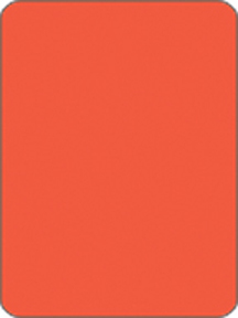 Fluorescent Label Blank 2 1/2in x 3 3/4in Red Orange 200 per roll