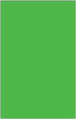 Fluorescent Card 3 1/2x5 1/2 Blank Green