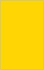 Fluorescent Card 3 1/2x5 1/2 Blank Gold Yellow