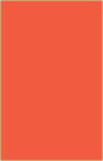 Fluorescent Card 3 1/2x5 1/2 Blank Red Orange