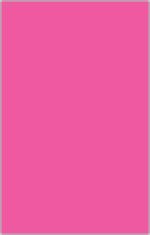 Fluorescent Card 3 1/2x5 1/2 Blank Pink