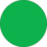 Fluorescent Label Blank 2in Green 250 per roll